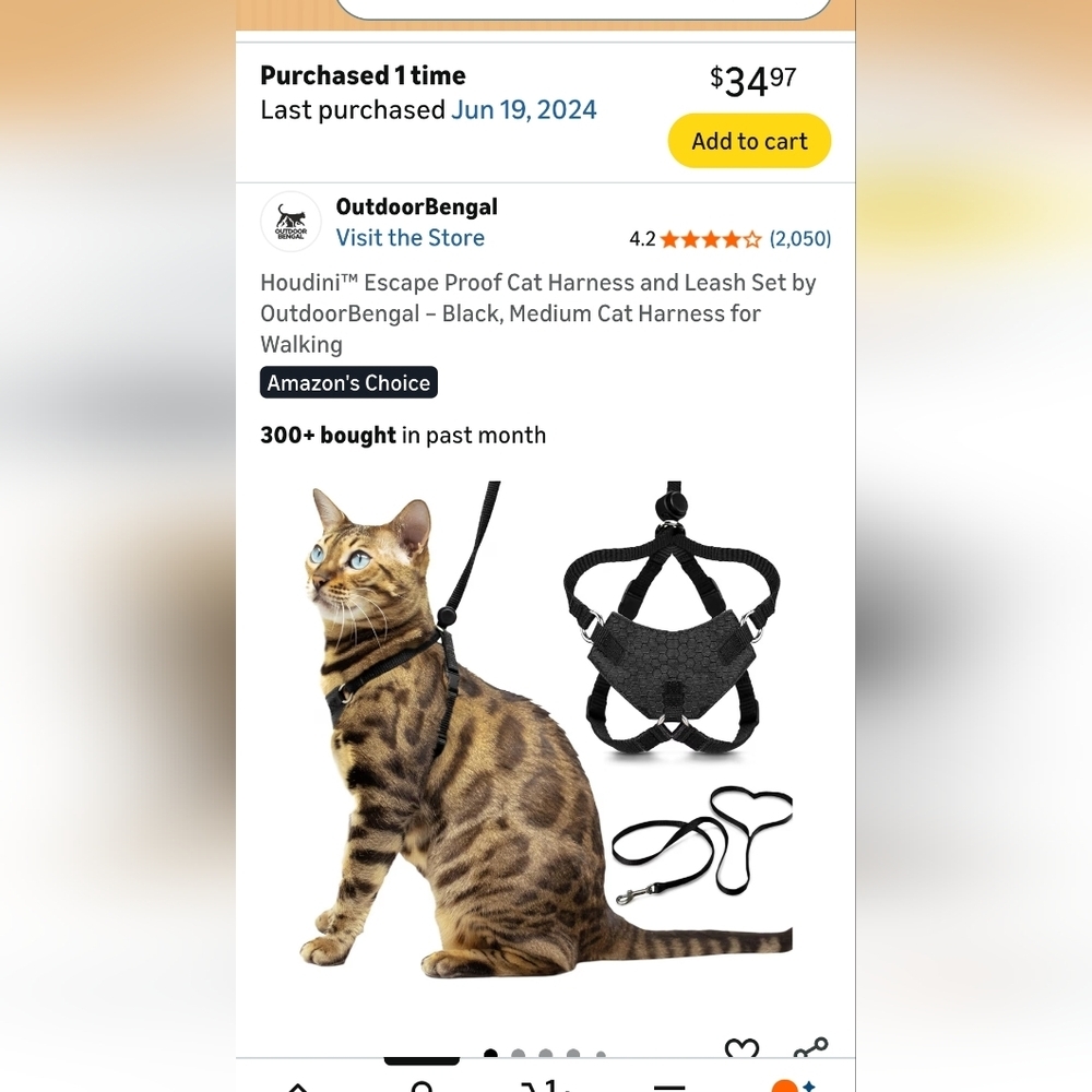 Medium/Large Black Cat Harness and Leash Set